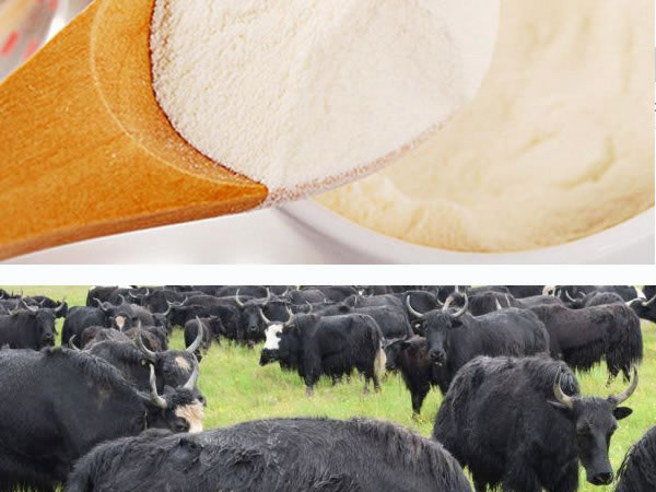 ţ/�iƤ/���zԭ���������a(ch��n)��